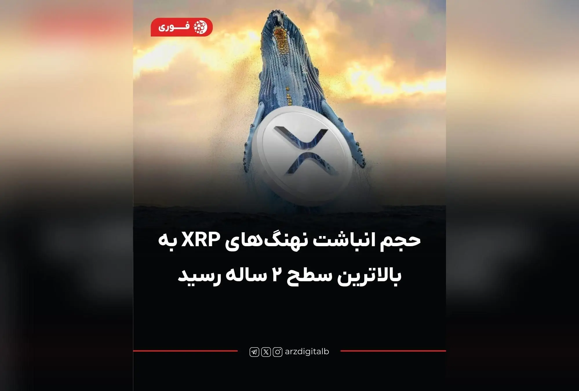 نهنگ‌های XRP در دو ساله‌ترین موج انباشت؛ خرید ۱.۷ میلیون توکن و رشد ۸ درصدی قیمت در پی کاهش نرخ بهره آمریکا