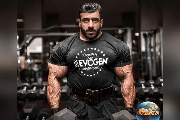 ظرف سنتی خانه هادی چوپان با طراحی اصیل ایرانی، نماد گرگ پارسی و هویت فرهنگی غنی