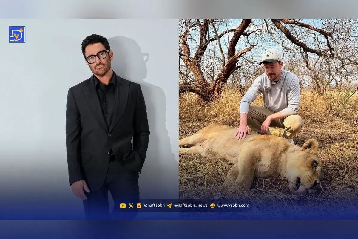 نگاه روز: مستر بیست در حیات وحش و بازگشت محمدرضا گلزار با پروژه جدید «ریمنی»