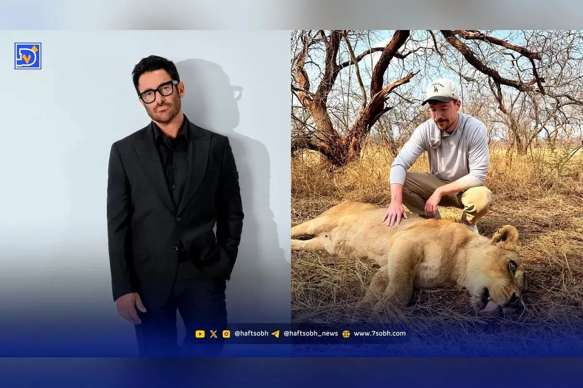نگاه روز: مستر بیست در حیات وحش و بازگشت محمدرضا گلزار با پروژه جدید «ریمنی»