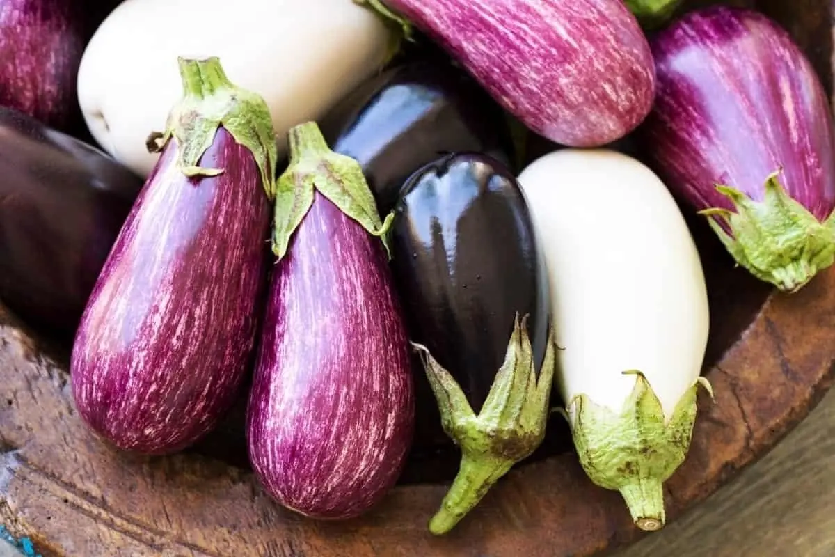 تعبیر خواب بادمجان: از نگاه سنتی تا روان‌شناسی مدرن در ۷ روایت