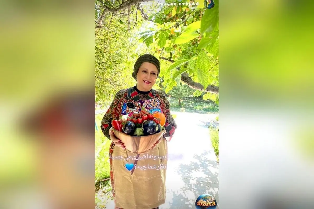 واکنش مریم امیرجلالی به حاشیه‌ها و سفر به کانادا: چرا باید از ایران خارج شوم؟