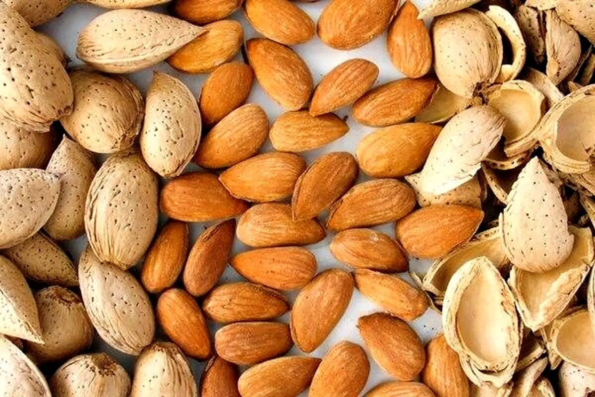 تعبیر خواب بادام: از نگاه سنتی تا روان‌شناسی مدرن در ۷ روایت