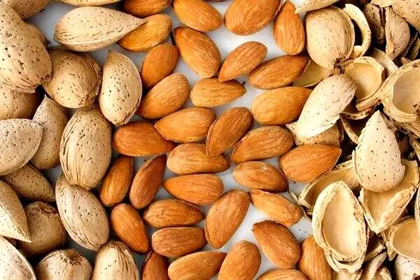 تعبیر خواب بادام: از نگاه سنتی تا روان‌شناسی مدرن در ۷ روایت