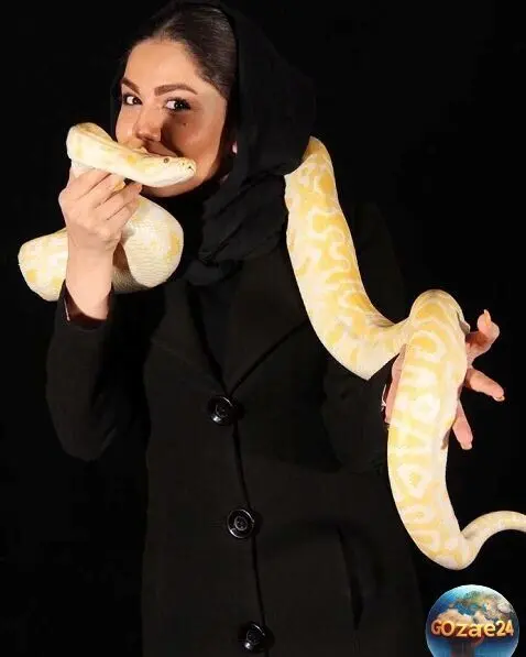 بازیگران زن ایرانی با حرکتی عجیب و دیدنی؛ آزاده زارعی و نرگس محمدی مارهای غول‌پیکر را به گردن آویختند!