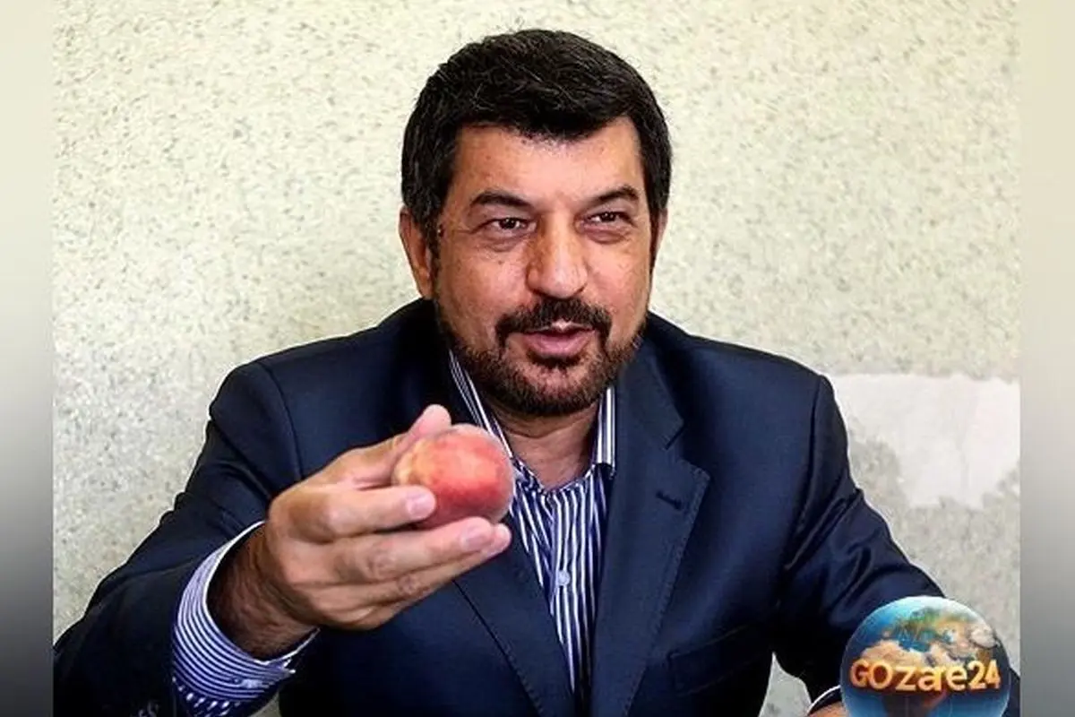 محمود شهریاری فاش کرد: ممنوعالتصویر شدن به خاطر گفتن واژه «هلو» در رسانه ملی + ویدیو