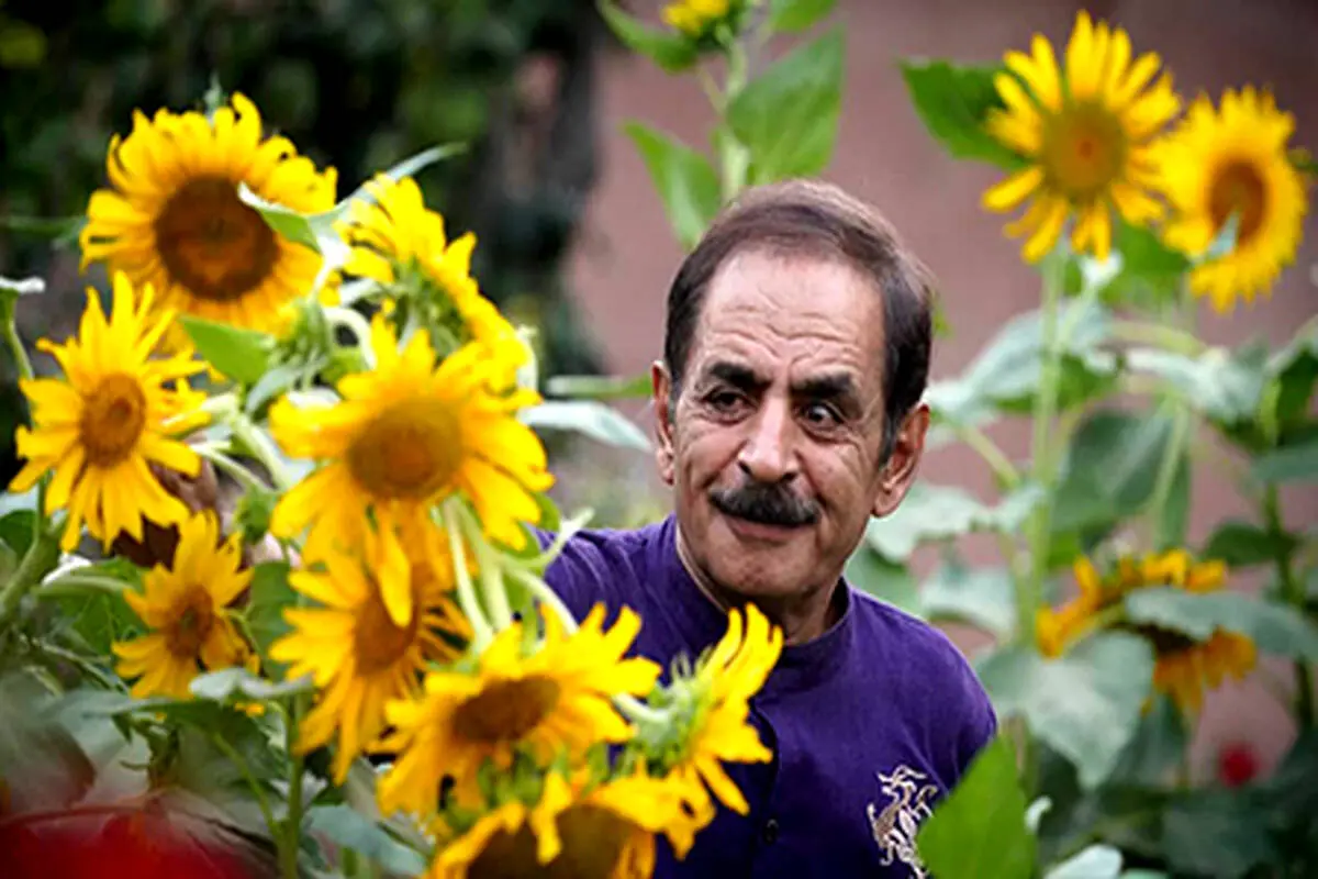 گالری
