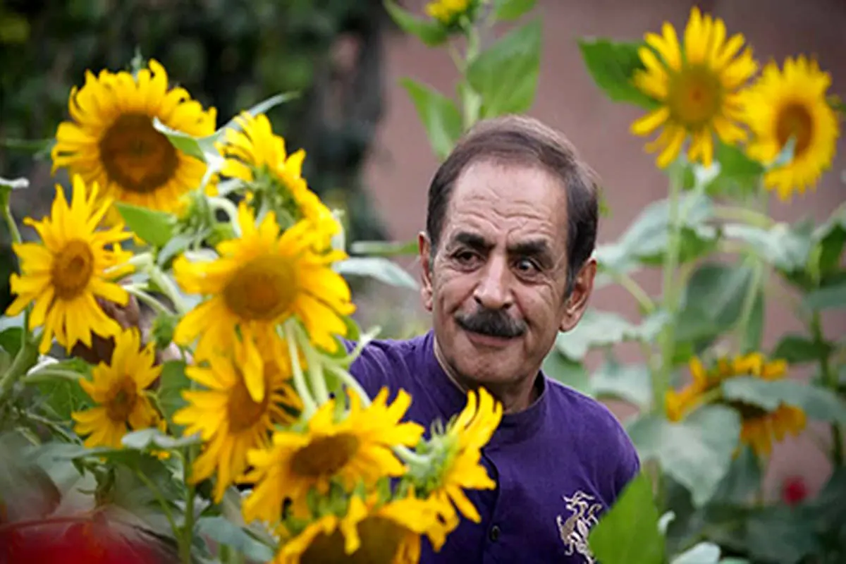 گالری