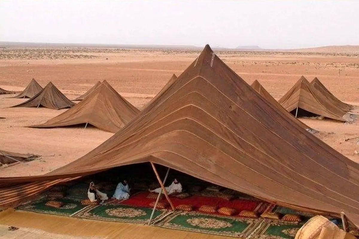 تعبیر خواب بادیه: از نگاه سنتی تا روان‌شناسی مدرن در ۷ روایت