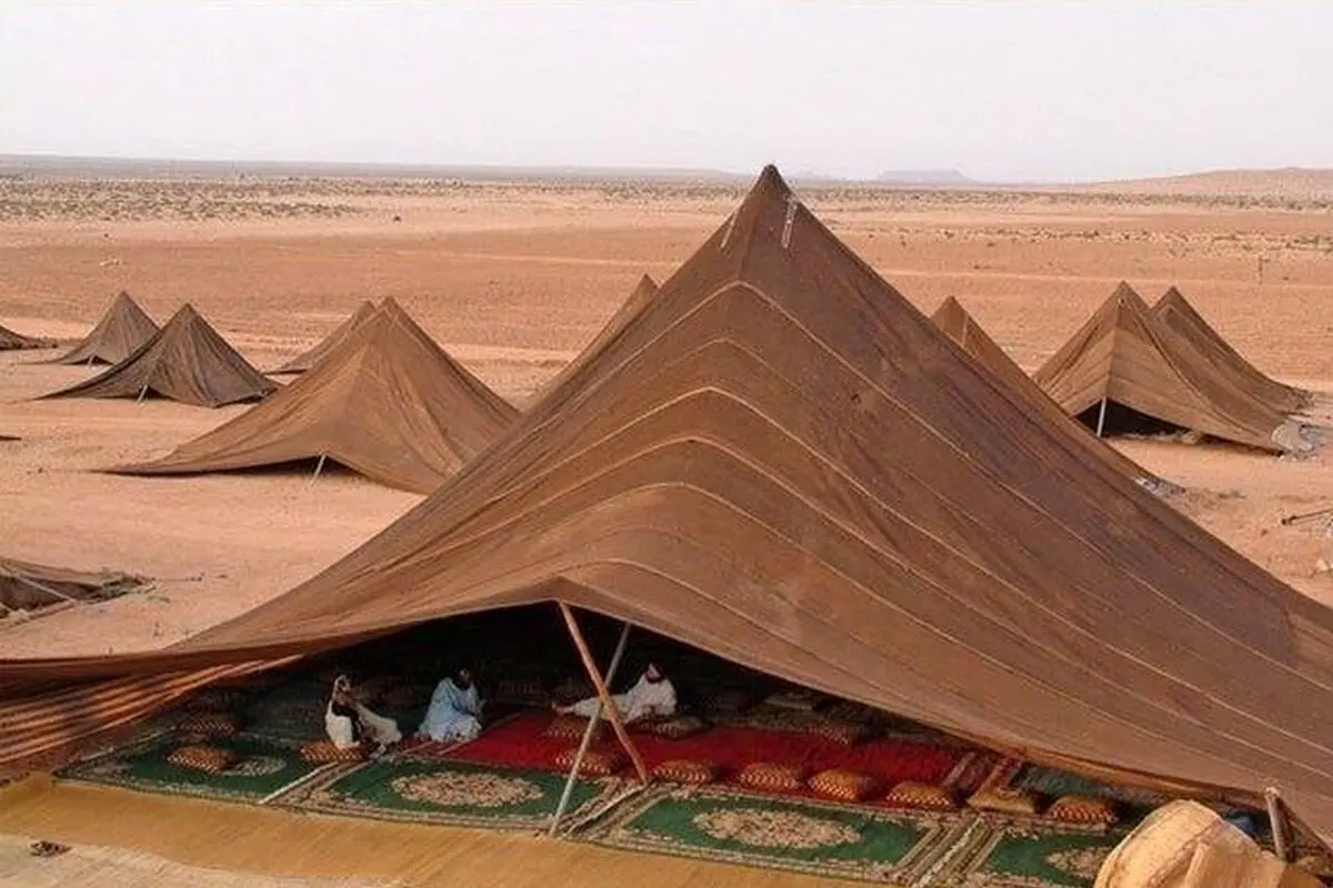 تعبیر خواب بادیه: از نگاه سنتی تا روان‌شناسی مدرن در ۷ روایت