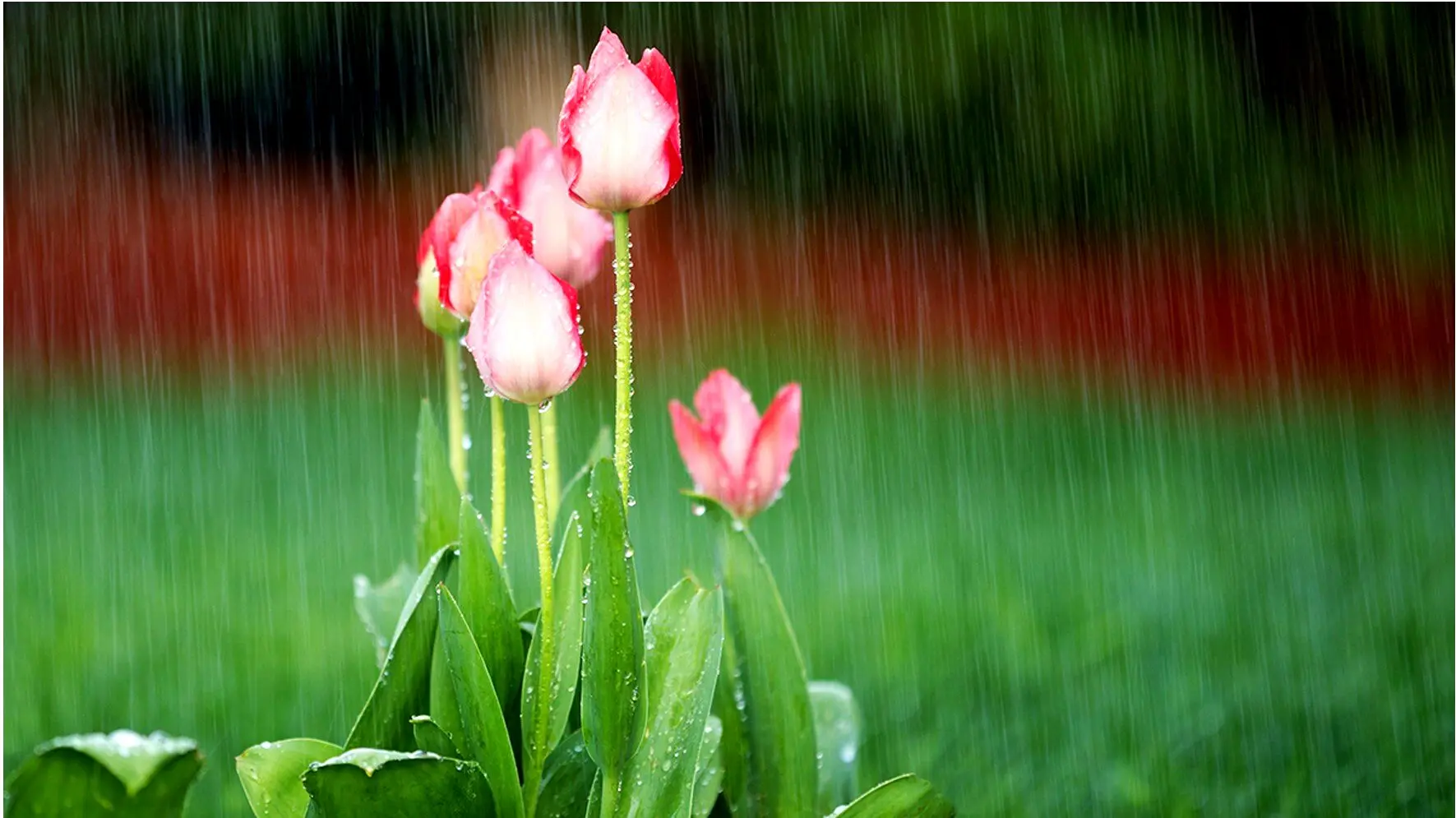جملات الهام‌بخش روز ۳ اردیبهشت ۱۴۰۴ | نقشه‌ای برای زیستن