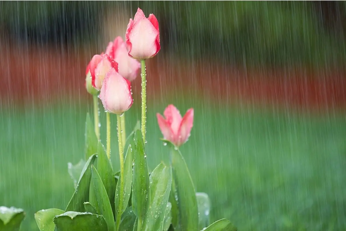 جملات الهام‌بخش روز ۳ اردیبهشت ۱۴۰۴ | نقشه‌ای برای زیستن