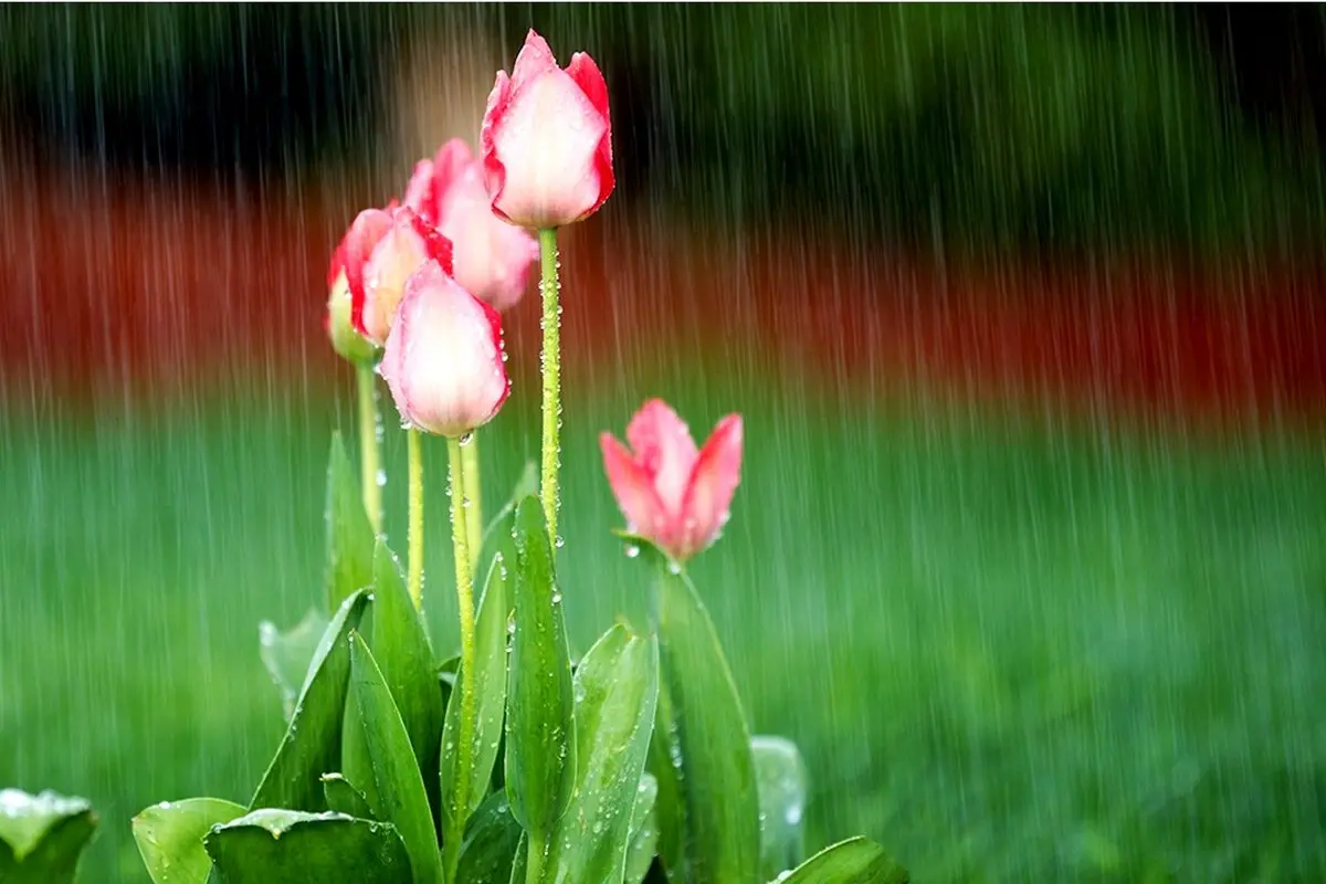جملات الهام‌بخش روز ۳ اردیبهشت ۱۴۰۴ | نقشه‌ای برای زیستن