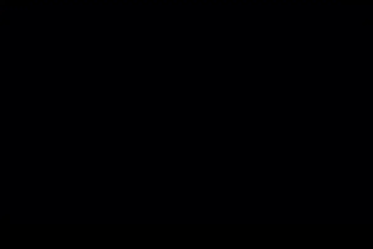 سریال سووشون نرگس آبیار با بازی میلاد کی مرام و بهنوش طباطبایی، فردا در نماوا با تخفیف ۴۰٪