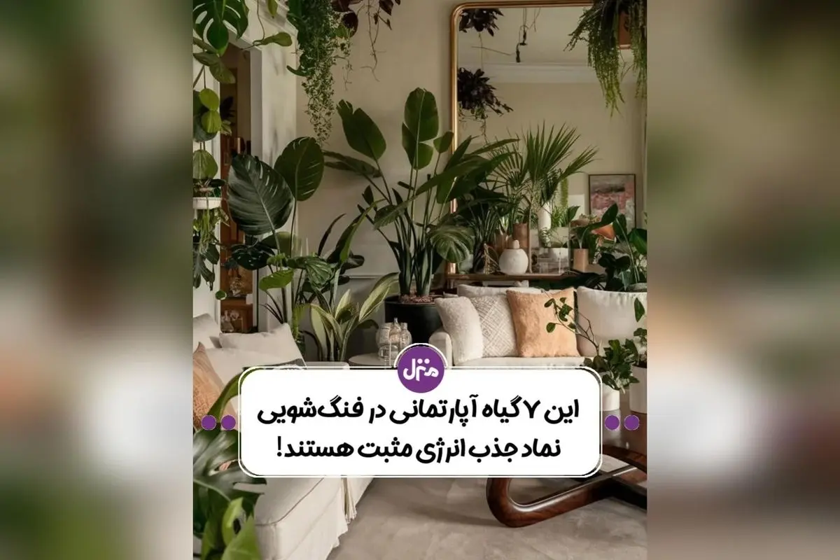 10 گیاهان فنگ‌شویی برای جذب انرژی مثبت و ثروت در خانه‌های شما