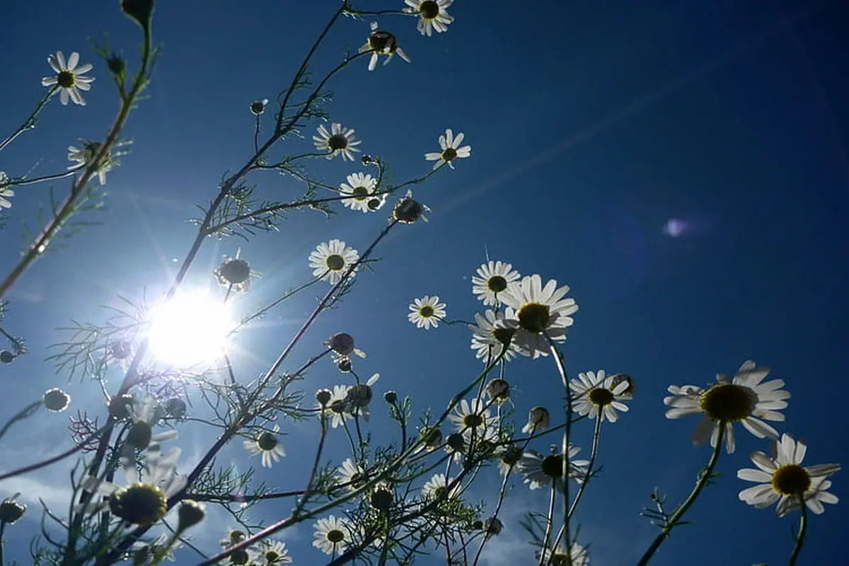 متن الهامبخش روز ۳۰ اسفند ۱۴۰۳ | آستانهی نو شدن
