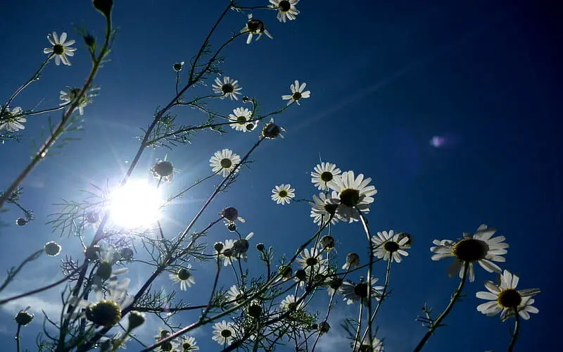 
متن الهام‌بخش روز ۳۰ اسفند ۱۴۰۳ | آستانه‌ی نو شدن