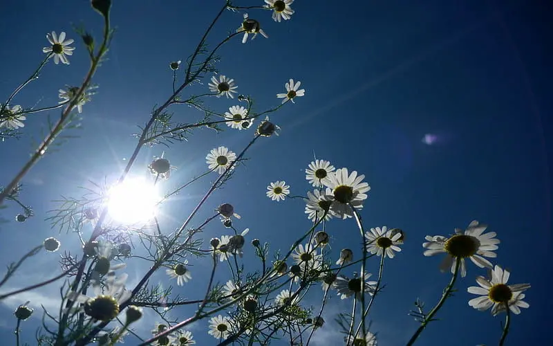 
متن الهام‌بخش روز ۳۰ اسفند ۱۴۰۳ | آستانه‌ی نو شدن