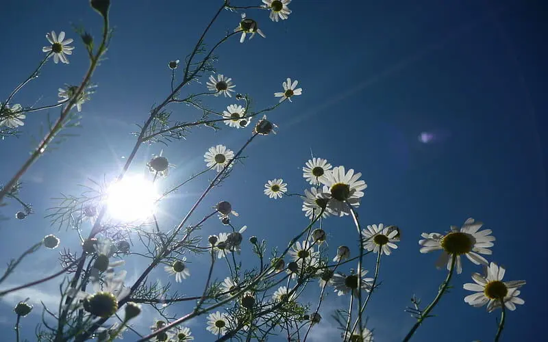 
متن الهام‌بخش روز ۳۰ اسفند ۱۴۰۳ | آستانه‌ی نو شدن