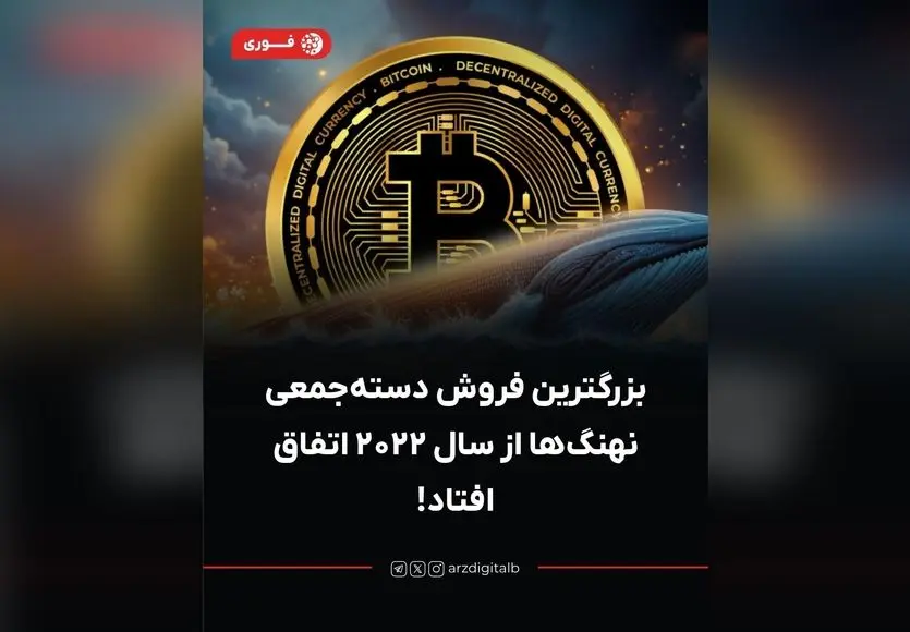 فروش بی‌سابقه نهنگ‌های بیت کوین در ۲۰۲۳؛ فشار عظیم بر قیمت و هشدارهای تحلیلگران