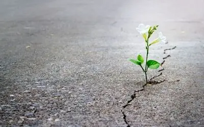 جملات الهام‌بخش روز ۲۵ خرداد ۱۴۰۴ | روزی برای مهربانی آگاهانه