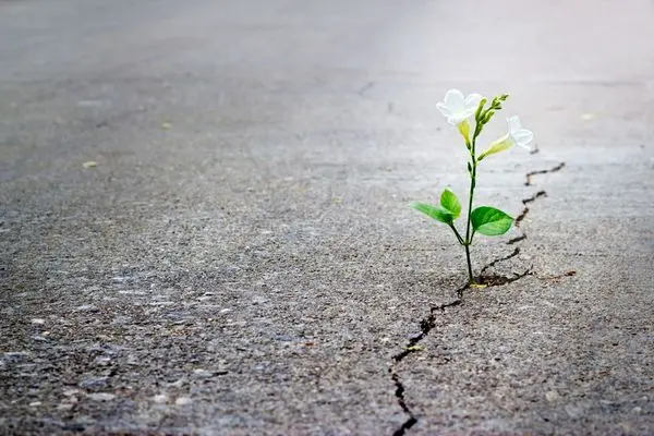 جملات الهام‌بخش روز ۲۵ خرداد ۱۴۰۴ | روزی برای مهربانی آگاهانه
