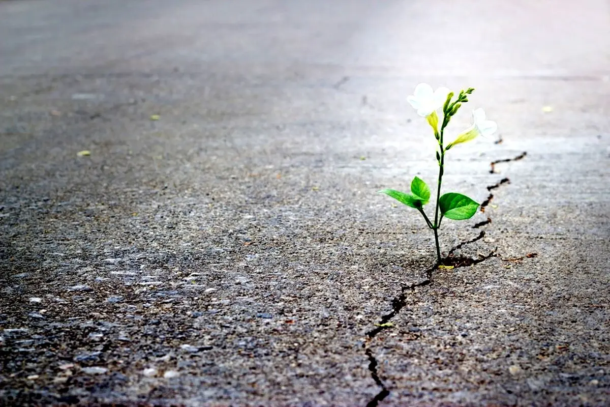 جملات الهام‌بخش روز ۲۵ خرداد ۱۴۰۴ | روزی برای مهربانی آگاهانه