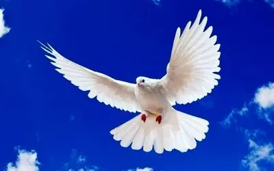 جملات الهام‌بخش روز ۲۶ خرداد ۱۴۰۴ | امیدی که آرام می‌سازد