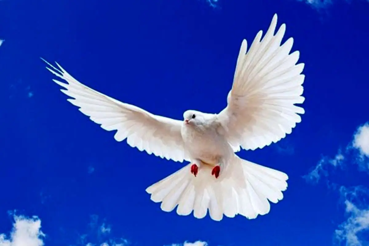 جملات الهامبخش روز ۲۶ خرداد ۱۴۰۴ | امیدی که آرام میسازد