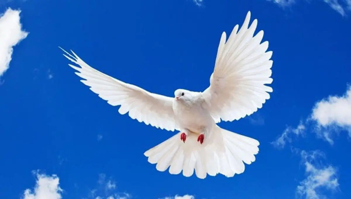 جملات الهام‌بخش روز ۲۶ خرداد ۱۴۰۴ | امیدی که آرام می‌سازد