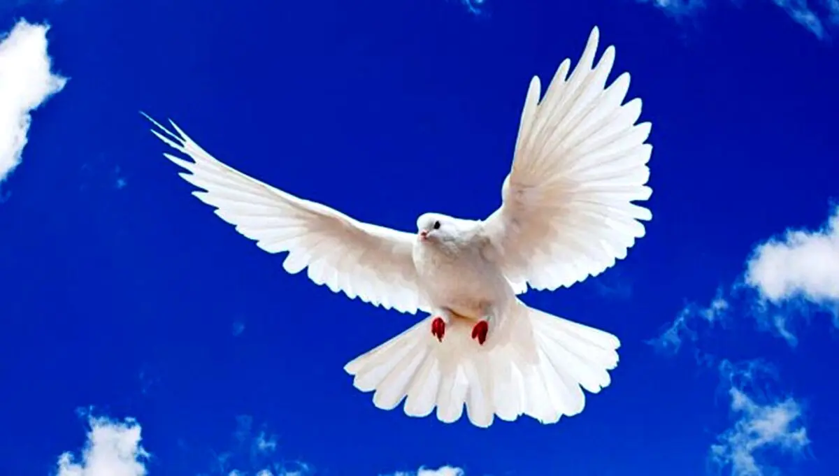 جملات الهام‌بخش روز ۲۶ خرداد ۱۴۰۴ | امیدی که آرام می‌سازد