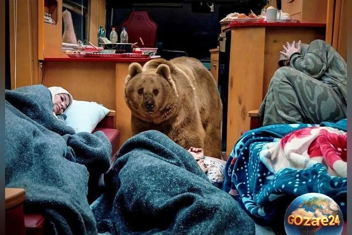 سیروس مقدم: ساخت سکانس خرس در «پایتخت» با رعایت احترام به حیوان و بهره‌گیری از تجربیات جهانی + جزئیات فیلم‌برداری و چالش‌های پروژه