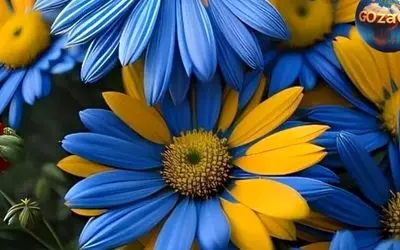 فال روزانه ۱۴ تیر ۱۴۰۲ | پیش‌بینی دقیق و راهنمایی‌های مهم برای متولدین هر ماه