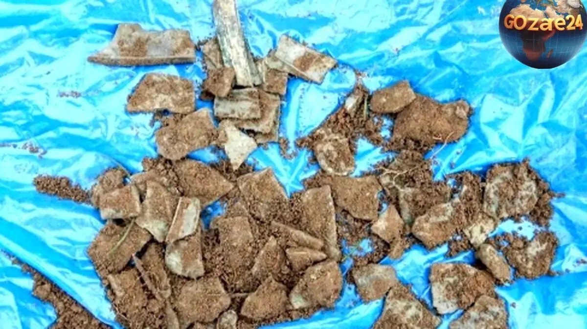 کشف گنج ۳ هزارساله زباله‌های بازیافتی در مزرعه بی‌نظیر + عکس