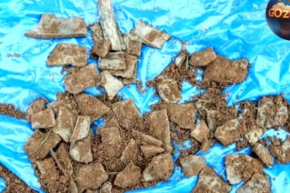 کشف گنج ۳ هزارساله زباله‌های بازیافتی در مزرعه بی‌نظیر + عکس
