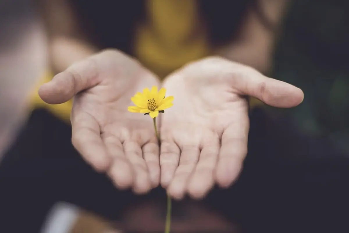 چگونه با بخشش، از گذشته عبور کنیم و آرامش را تجربه کنیم؟ آموزه‌های طلایی از فلورانس اسکاول شین