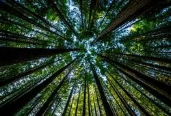 جملات الهام‌بخش روز ۲۲ خرداد ۱۴۰۴ | پنجشنبه‌ای برای خویشتن