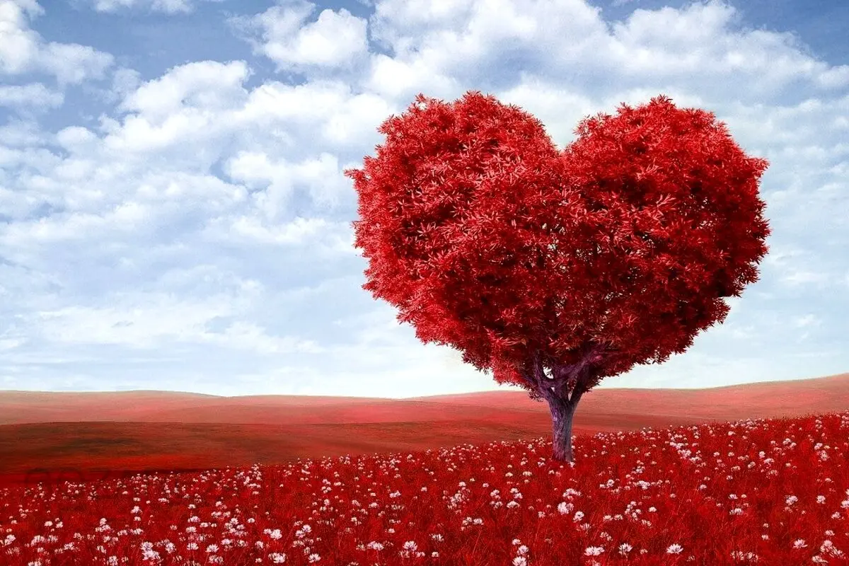 چگونه عشق را به زندگی‌مان جذب کنیم؟ راهنمای عملی از نگاه فلورانس اسکاول شین