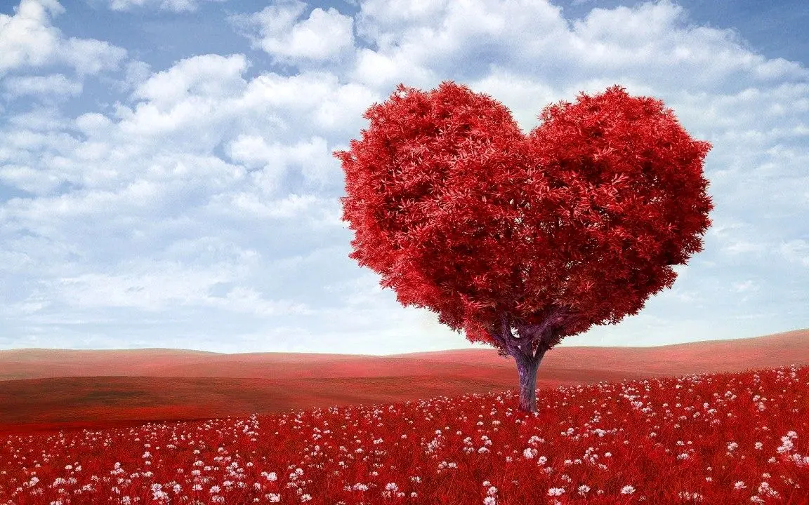چگونه عشق را به زندگی‌مان جذب کنیم؟ راهنمای عملی از نگاه فلورانس اسکاول شین