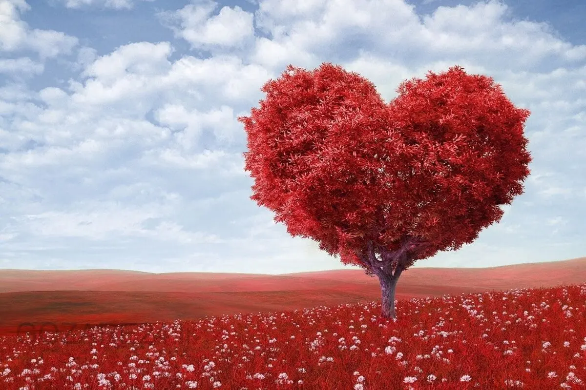 چگونه عشق را به زندگی‌مان جذب کنیم؟ راهنمای عملی از نگاه فلورانس اسکاول شین
