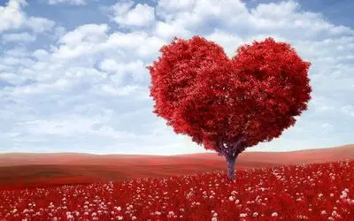 چگونه عشق را به زندگی‌مان جذب کنیم؟ راهنمای عملی از نگاه فلورانس اسکاول شین