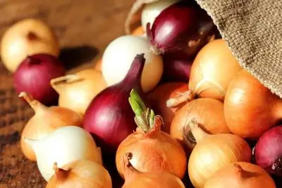 پیاز مونده رو بخوریم یا بهتره دور بریزیم؟!!