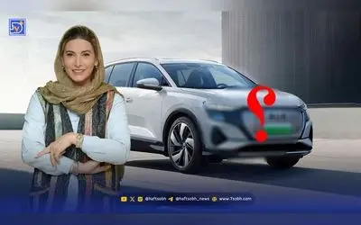 فریبا نادری: زندگی لوکس، ماشین گرانقیمت و داستانهای موفقیت در هنر و خانواده