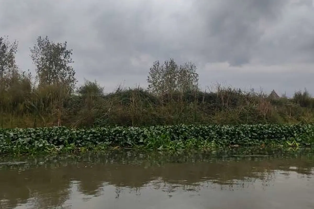 باران زیبای پاییزی در چمخاله + فیلم