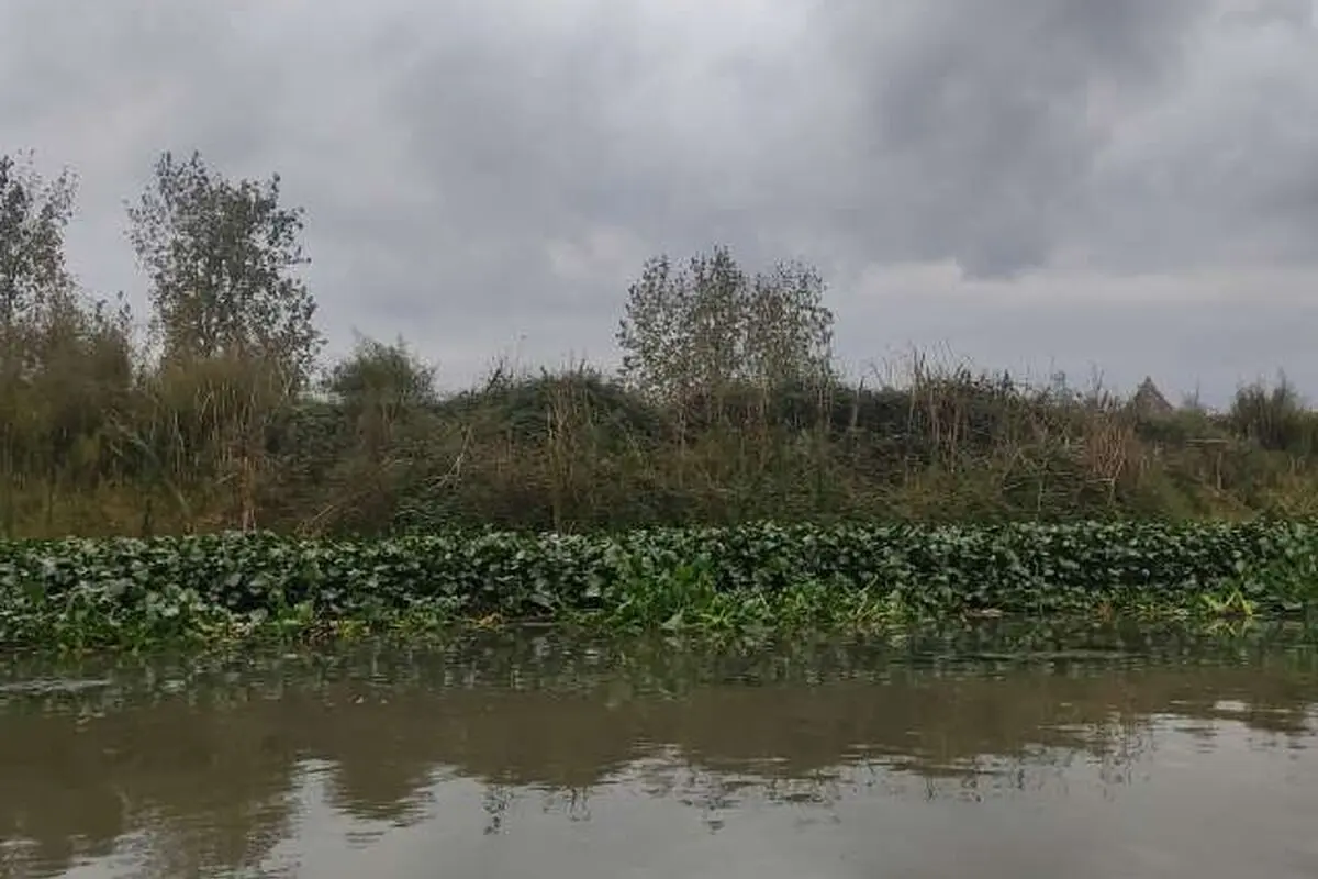  باران زیبای پاییزی در چمخاله + فیلم