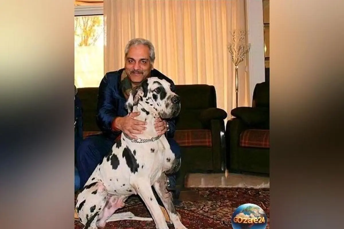 خانه لوکس مهران مدیری در زعفرانیه تهران؛ ویلا مجلل 1200 متری با استخر و 10 اتاق خواب + ویدیو