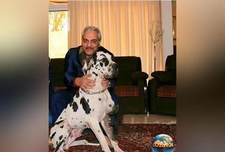 خانه لوکس مهران مدیری در زعفرانیه تهران؛ ویلا مجلل 1200 متری با استخر و 10 اتاق خواب + ویدیو