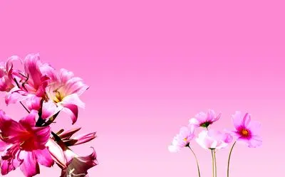 پیام تبریک روز دختر برای دختران نوجوان با لحن انگیزشی