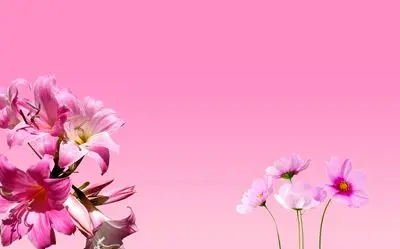 پیام تبریک روز دختر برای دختران نوجوان با لحن انگیزشی