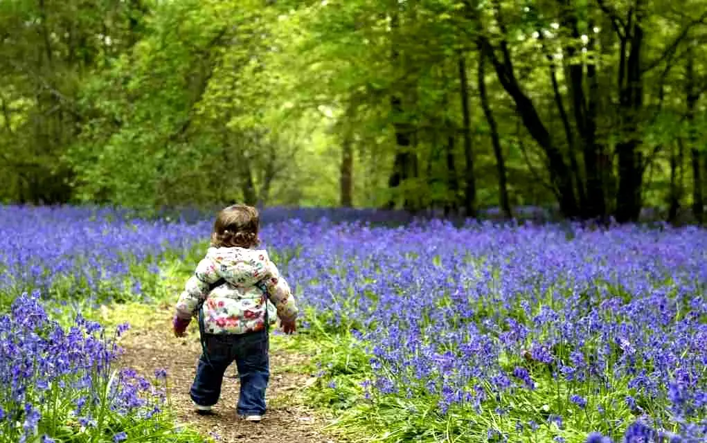 پیام‌های تبریک نوروز برای کودکان و خردسالان | جملات شاد و کودکانه برای عید